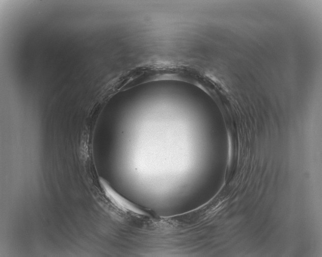 X0000073441348200608041105