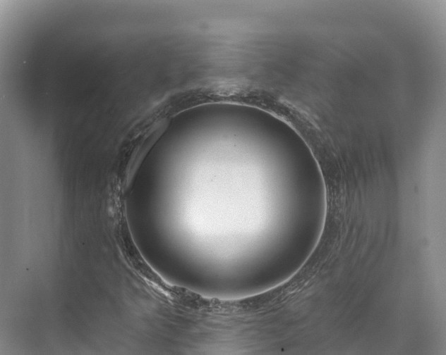 X0000073441349200608041105