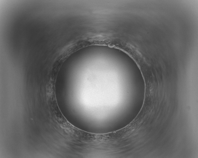 X0000073441350200608041105