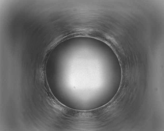 X0000073441354200608041105