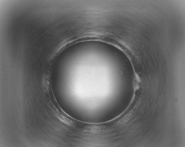 X0000073441355200608041105