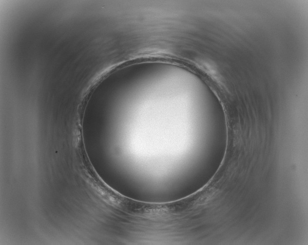 X0000073441363200608041105