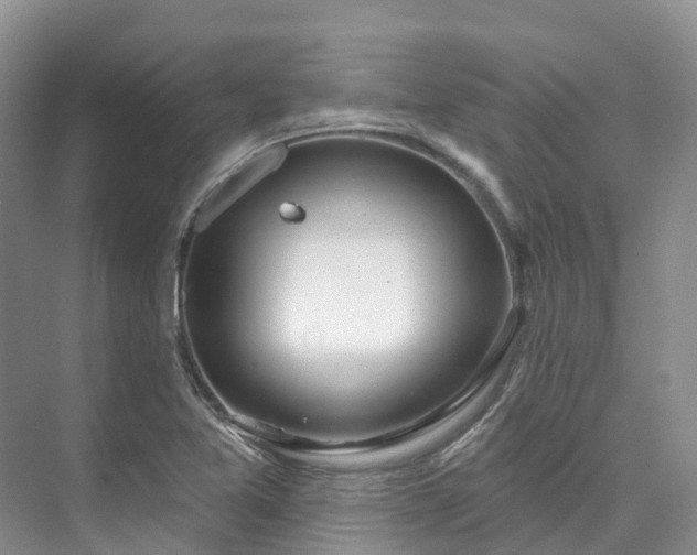 X0000073441365200608041105