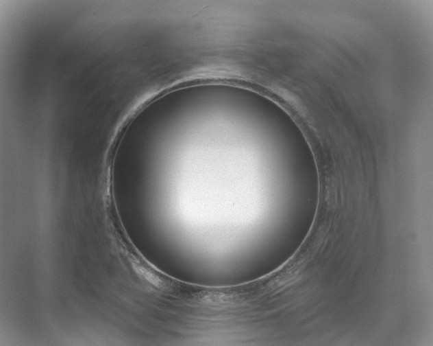 X0000073441366200608041105