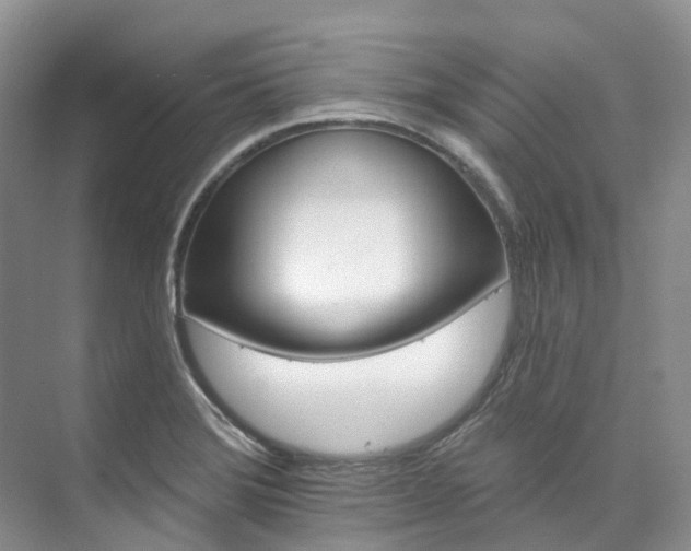 X0000073441372200608041105