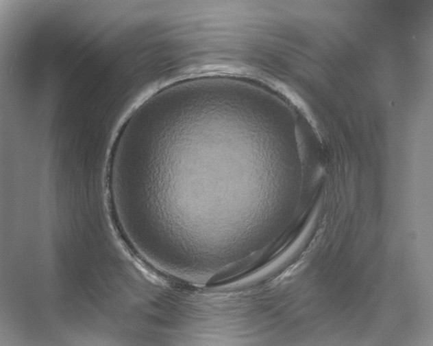 X0000073441373200608041105