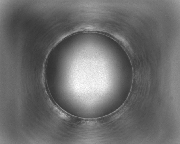 X0000073441374200608041105