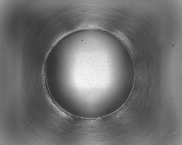 X0000073441382200608041105