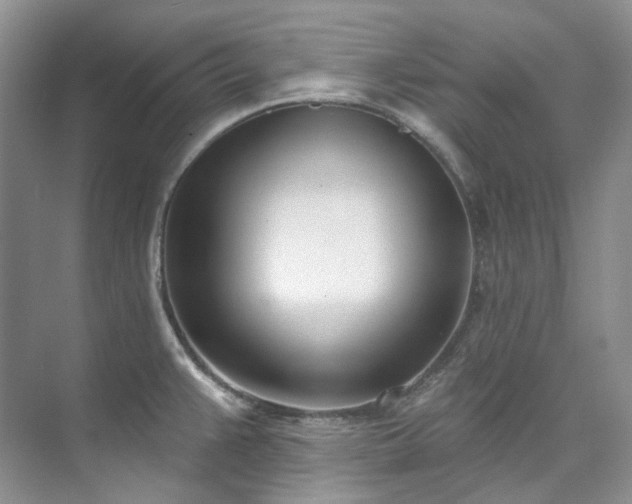 X0000073441383200608041105