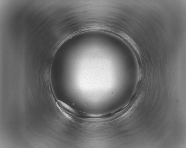 X0000073441385200608041105