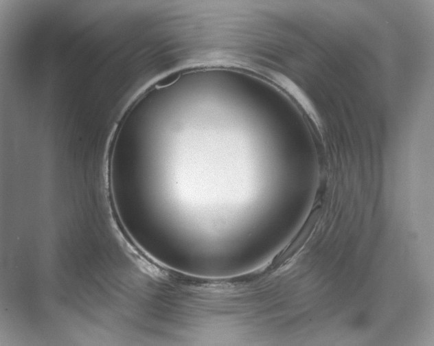 X0000073441388200608041105