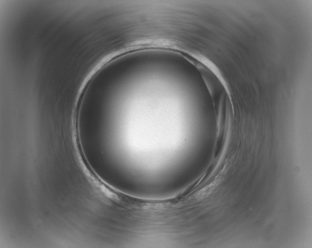 X0000073441389200608041105