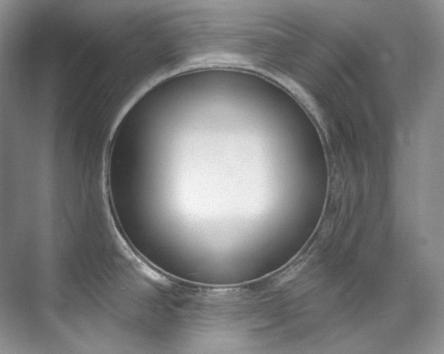 X0000073441390200608041105