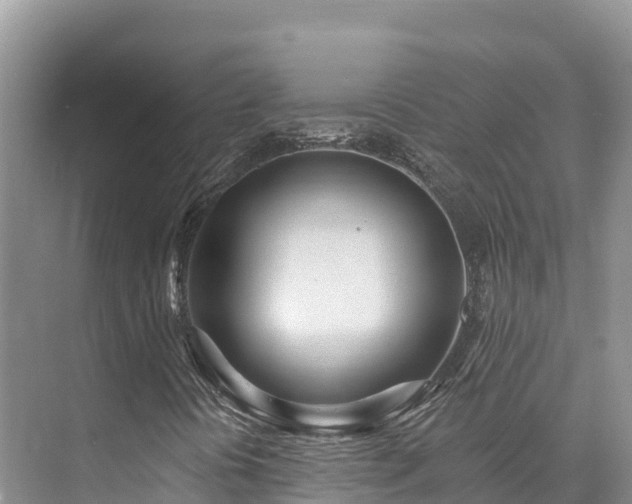 X0000073441394200608041104