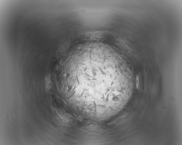 X0000073441395200608041104