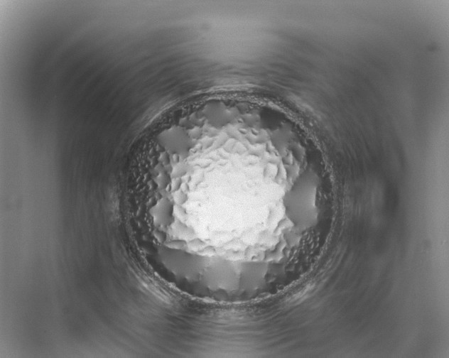 X0000073441401200608041104