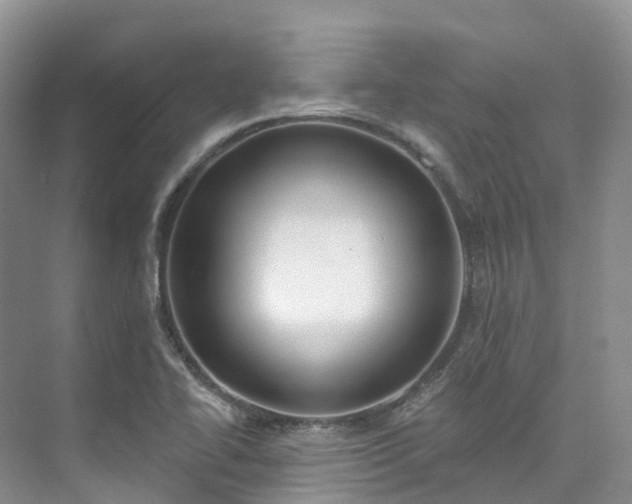X0000073441414200608041104