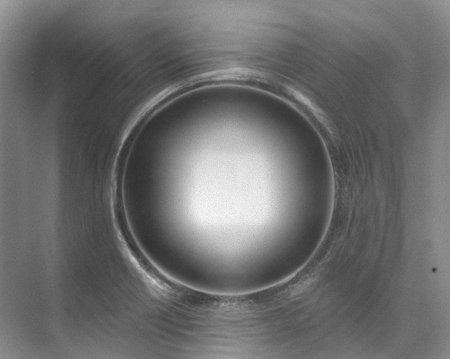 X0000073441418200608041104