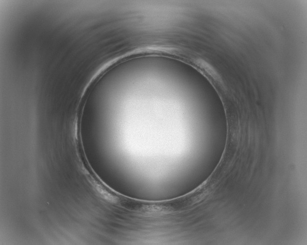 X0000073441420200608041104