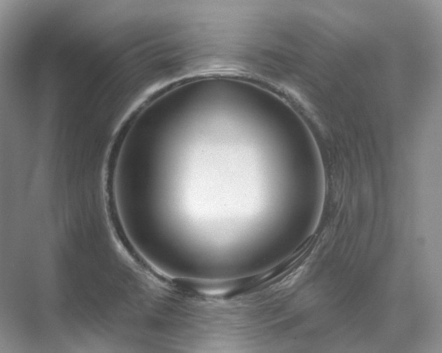 X0000073441422200608041104