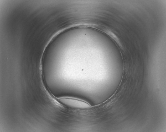 X0000073441428200608041104