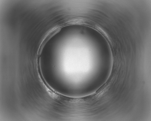 X0000073441434200608041104