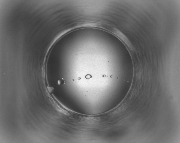 X0000073441436200608041104