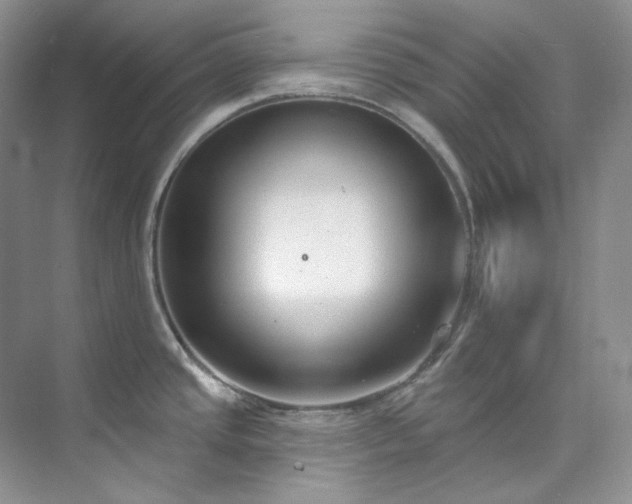X0000073441437200608041104