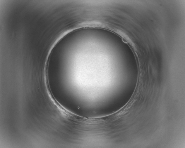 X0000073441440200608041105