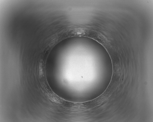 X0000073441442200608041104