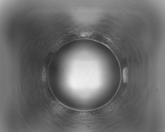 X0000073441443200608041104