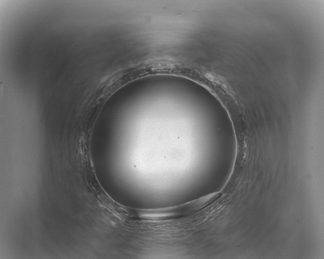 X0000073441445200608041104