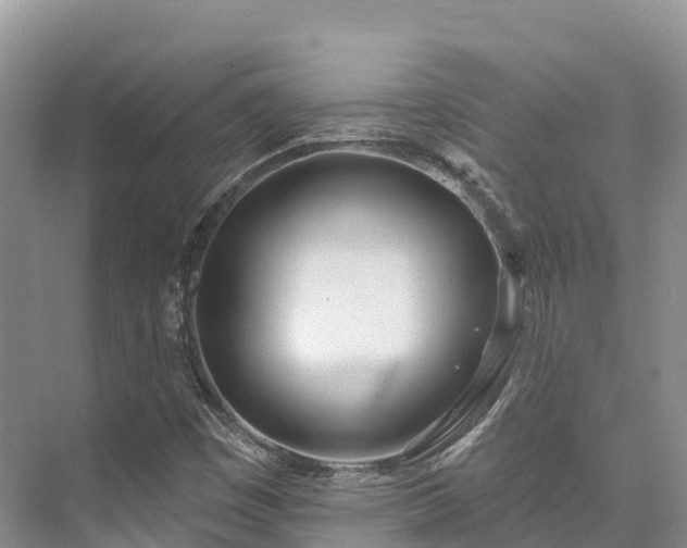 X0000073441449200608041104