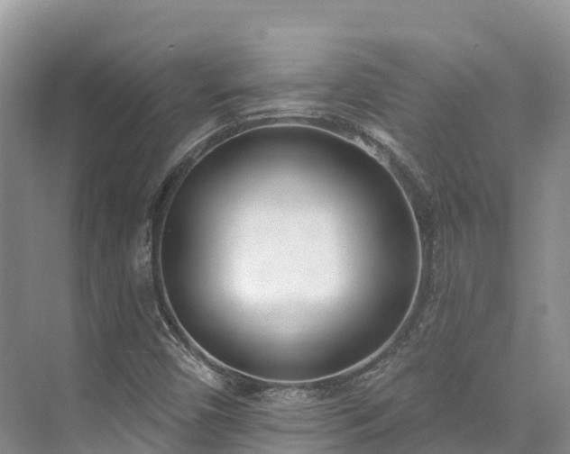 X0000073441450200608041104