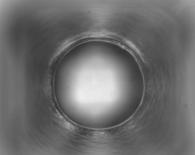 X0000073441456200608041103