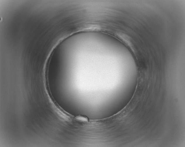 X0000073441475200608041103
