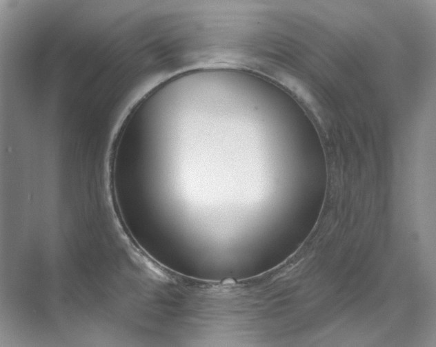 X0000073441480200608041103