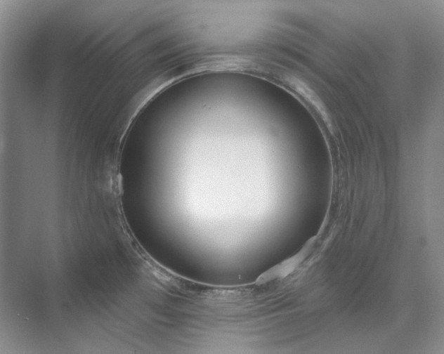 X0000073441481200608041103