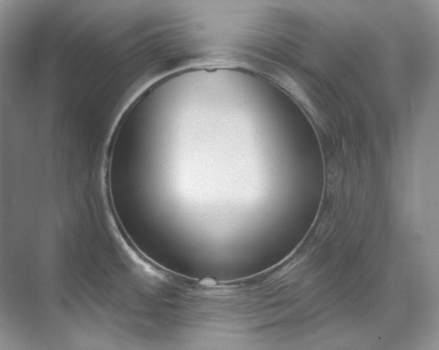 X0000073441484200608041103