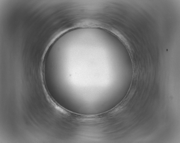 X0000073441486200608041103