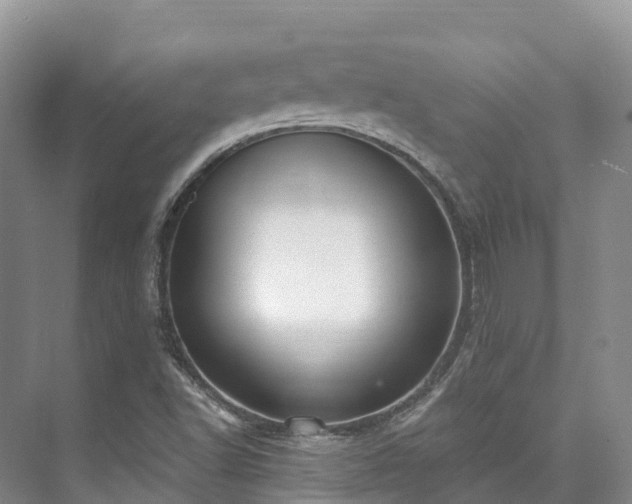 X0000073441502200608041102