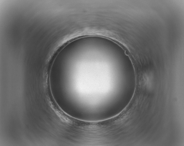 X0000073441507200608041102