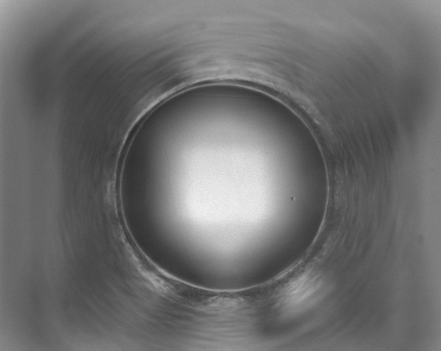 X0000073441513200608041103