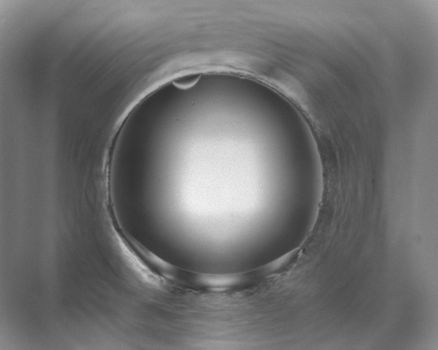 X0000073441524200608041103