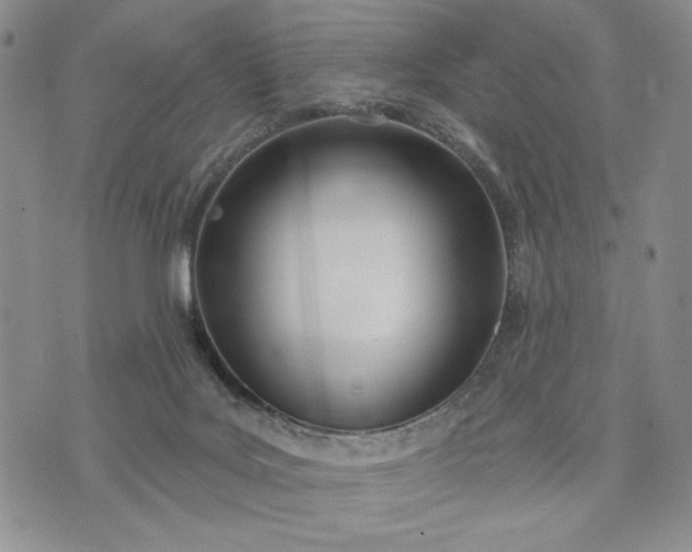 X0000073440027200608111336