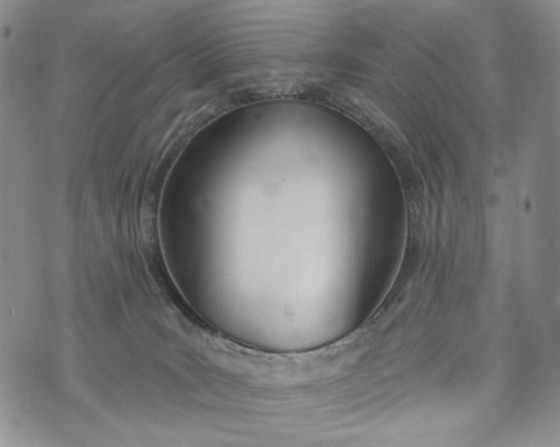 X0000073440035200608111336