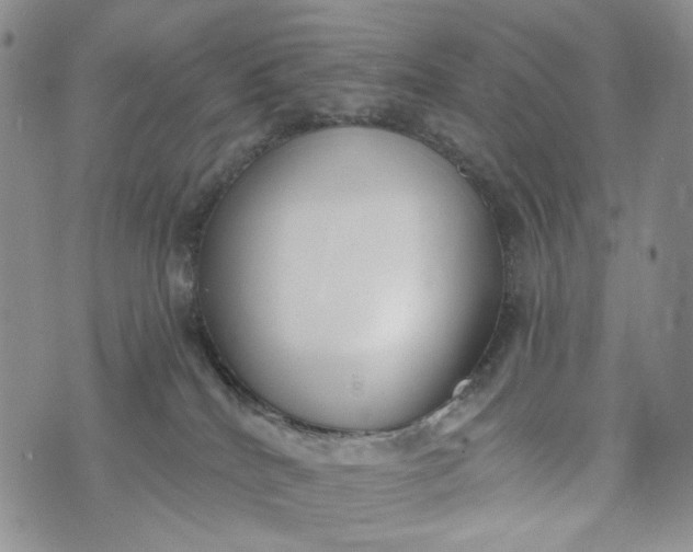 X0000073440040200608111336