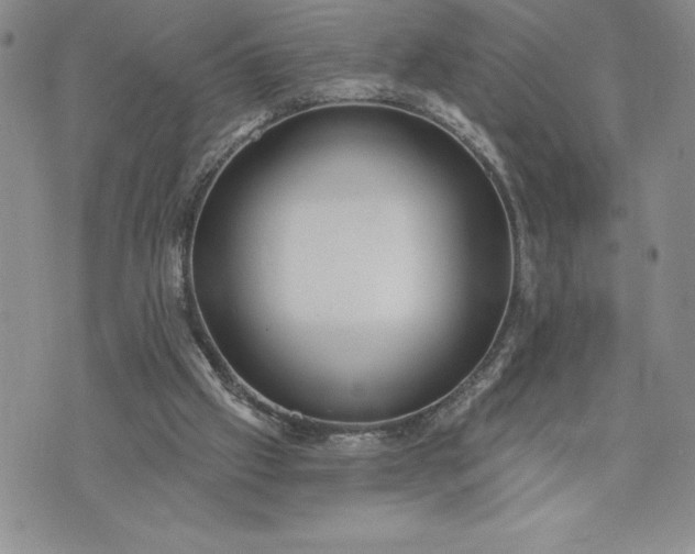 X0000073440057200608111335