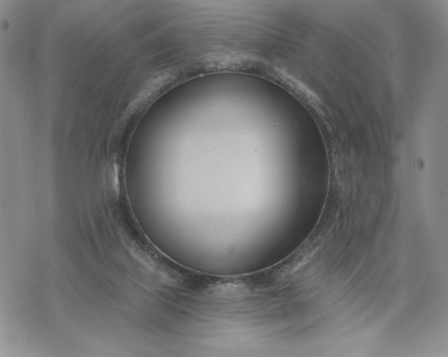 X0000073440067200608111335