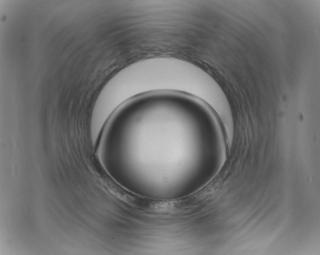 X0000073440084200608111336